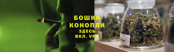ПСИЛОЦИБИНОВЫЕ ГРИБЫ Новодвинск