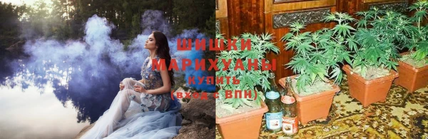 СК Нягань