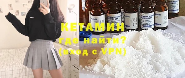 сатива Новозыбков